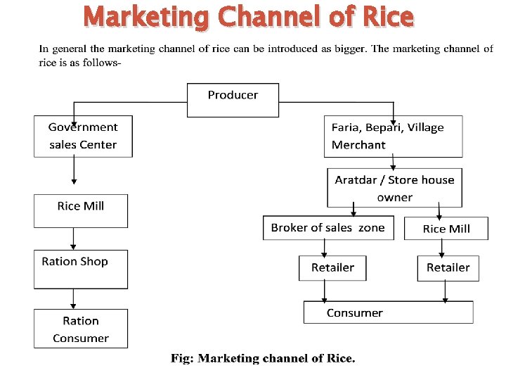 Marketing Channel of Rice 
