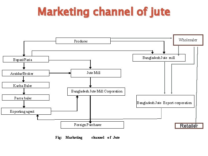Marketing channel of jute Wholesaler Producer Bangladesh Jute mill Bapari/Faria Jute Mill Aratdar/Broker Kacha