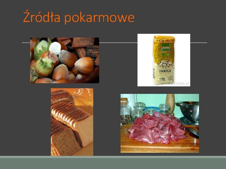 Źródła pokarmowe 