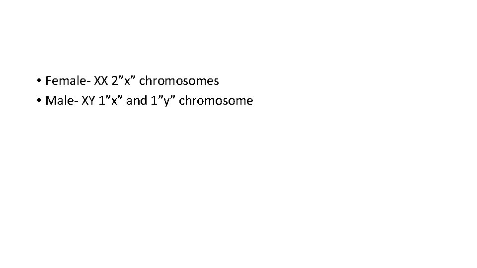  • Female- XX 2”x” chromosomes • Male- XY 1”x” and 1”y” chromosome 