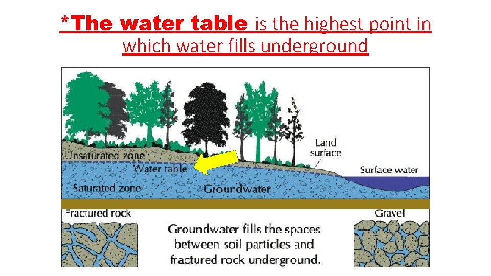 *The water table is the highest point in which water fills underground 