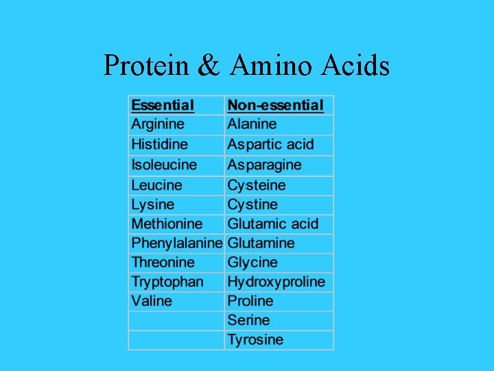 Protein & Amino Acids 