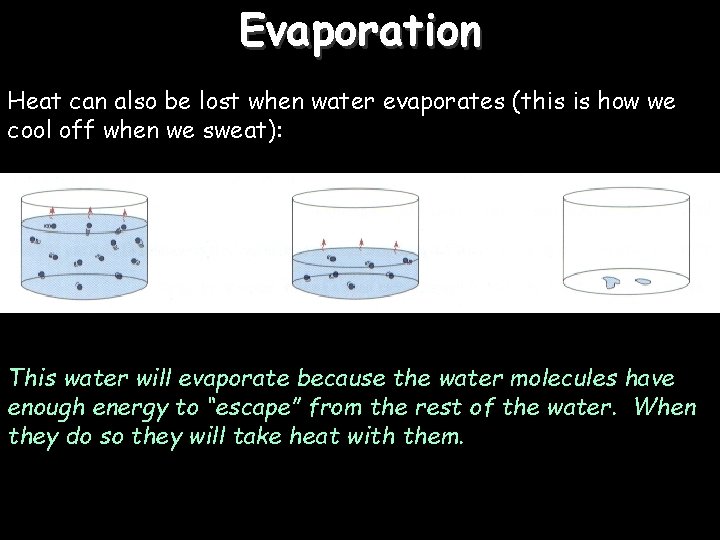 Evaporation Heat can also be lost when water evaporates (this is how we cool