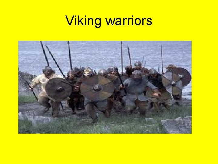 Viking warriors 