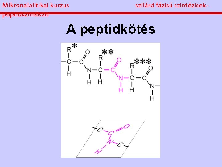Mikronalalitikai kurzus peptidszintészis szilárd fázisú szintézisek- A peptidkötés 