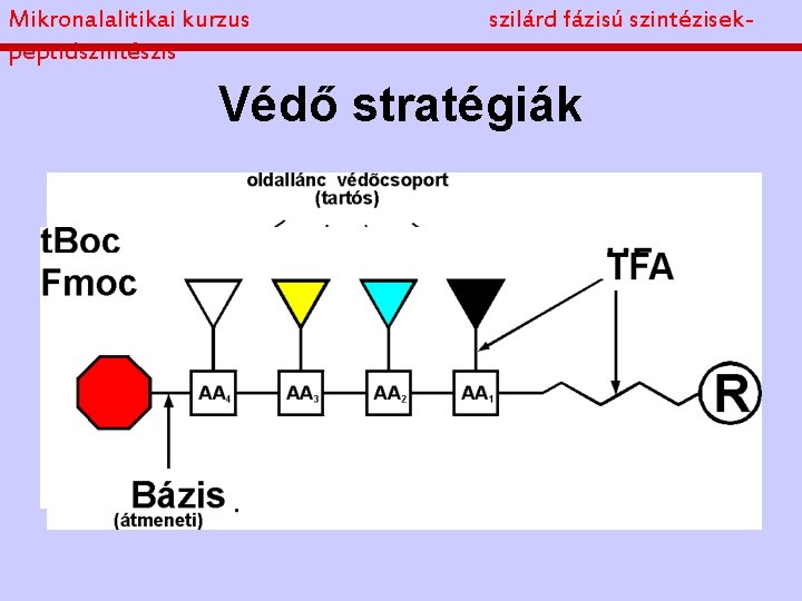 Mikronalalitikai kurzus peptidszintészis szilárd fázisú szintézisek- Védő stratégiák 