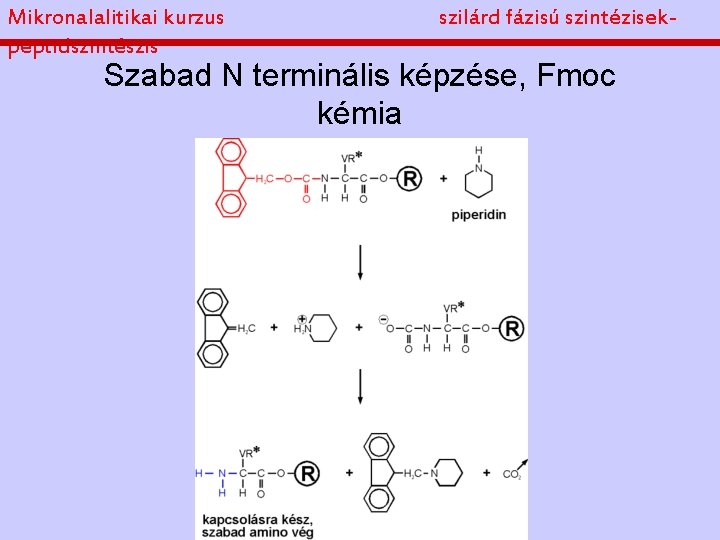 Mikronalalitikai kurzus peptidszintészis szilárd fázisú szintézisek- Szabad N terminális képzése, Fmoc kémia 