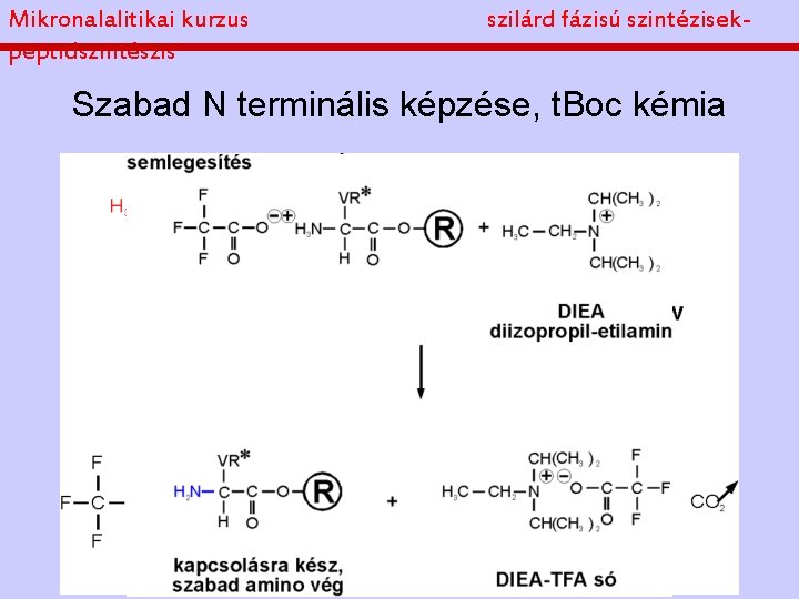 Mikronalalitikai kurzus peptidszintészis szilárd fázisú szintézisek- Szabad N terminális képzése, t. Boc kémia 