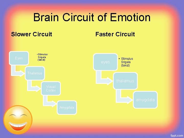 Brain Circuit of Emotion Slower Circuit Eyes Faster Circuit • Stimulus Srigala (takut) eyes