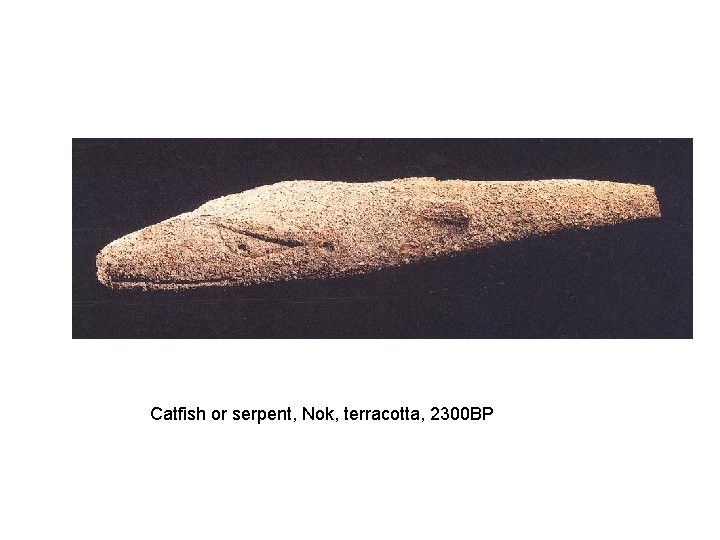 Catfish or serpent, Nok, terracotta, 2300 BP 