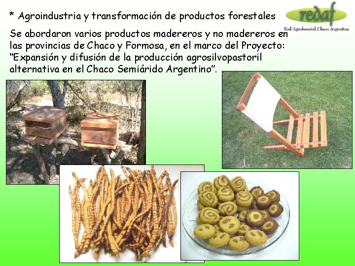 * Agroindustria y transformación de productos forestales Se abordaron varios productos madereros y no