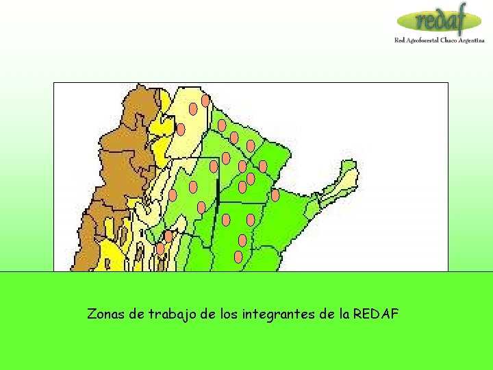 Zonas de trabajo de los integrantes de la REDAF 