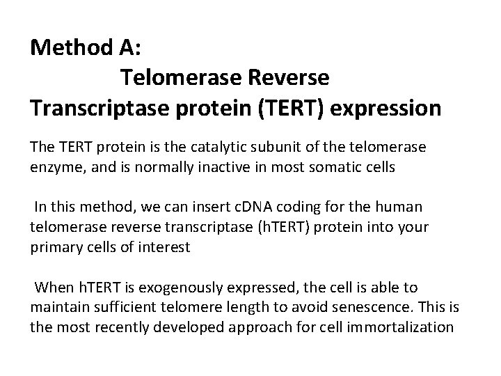 Method A: Telomerase Reverse Transcriptase protein (TERT) expression The TERT protein is the catalytic Method A: Telomerase Reverse Transcriptase protein (TERT) expression The TERT protein is the catalytic