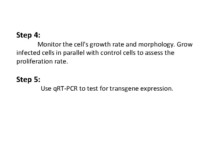 Step 4: Monitor the cell's growth rate and morphology. Grow infected cells in parallel Step 4: Monitor the cell's growth rate and morphology. Grow infected cells in parallel