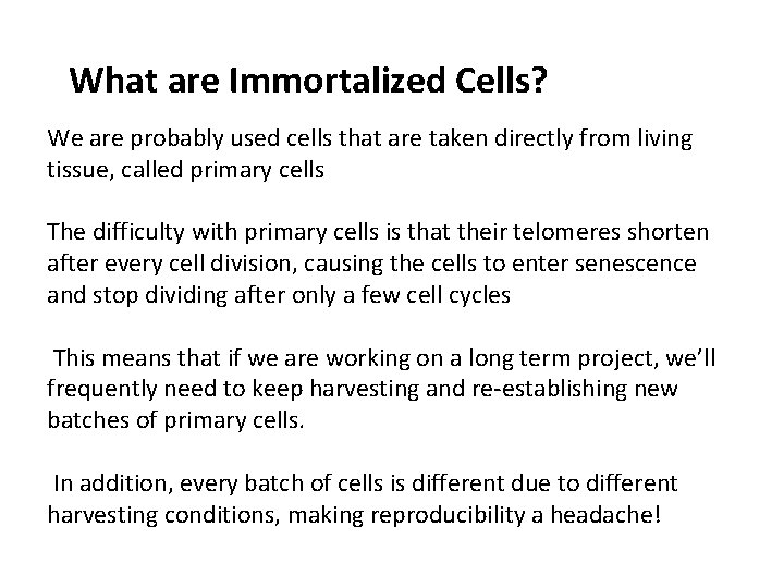 What are Immortalized Cells? We are probably used cells that are taken directly from What are Immortalized Cells? We are probably used cells that are taken directly from