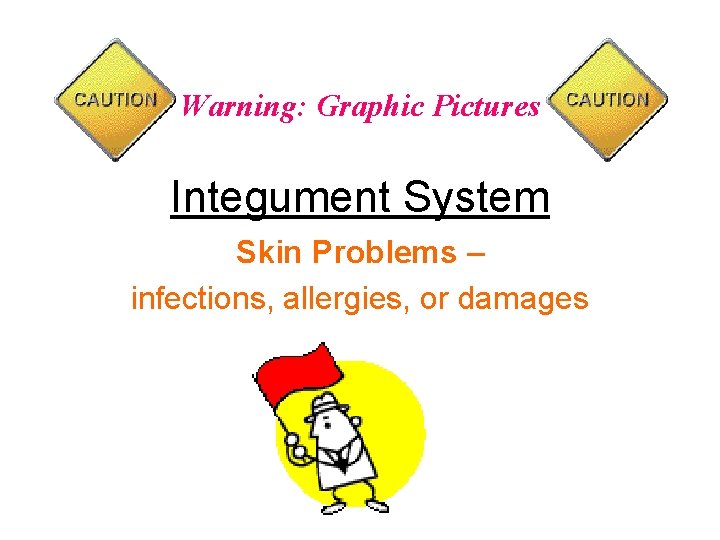 Warning: Graphic Pictures Integument System Skin Problems – infections, allergies, or damages 