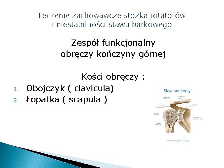 Leczenie zachowawcze stożka rotatorów i niestabilności stawu barkowego Zespół funkcjonalny obręczy kończyny górnej 1.