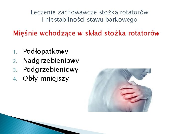 Leczenie zachowawcze stożka rotatorów i niestabilności stawu barkowego Mięśnie wchodzące w skład stożka rotatorów