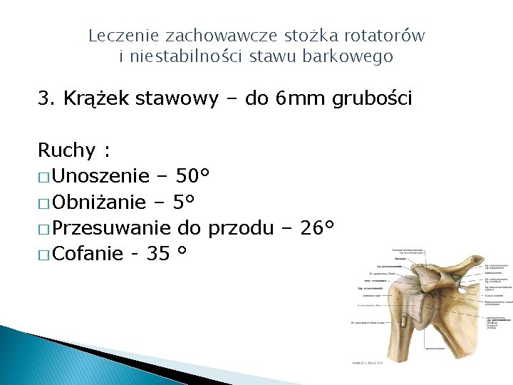 Leczenie zachowawcze stożka rotatorów i niestabilności stawu barkowego 3. Krążek stawowy – do 6