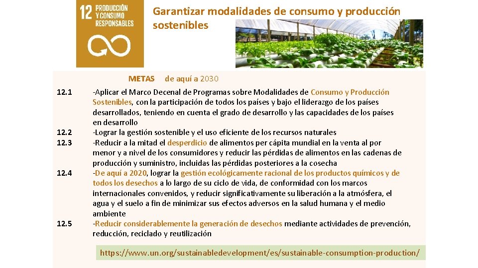 Garantizar modalidades de consumo y producción sostenibles METAS 12. 1 12. 2 12. 3