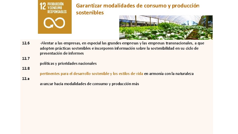 Garantizar modalidades de consumo y producción sostenibles 12. 6 12. 7 12. 8 12.