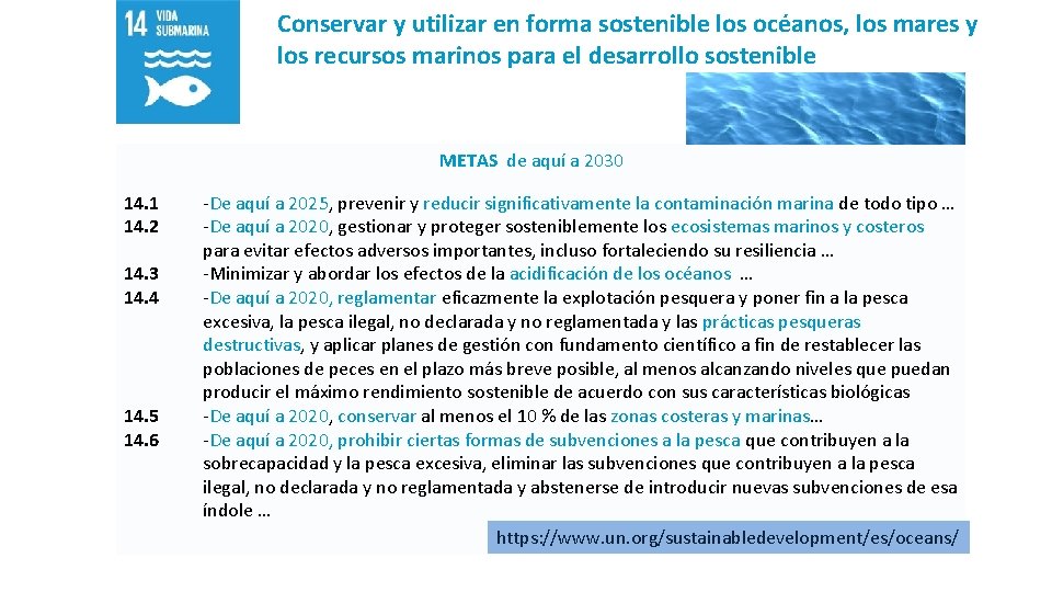 Conservar y utilizar en forma sostenible los océanos, los mares y los recursos marinos