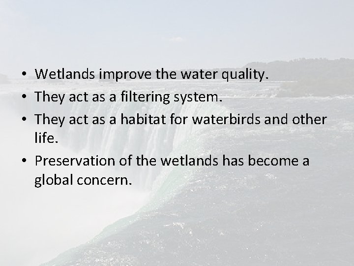  • Wetlands improve the water quality. • They act as a filtering system.
