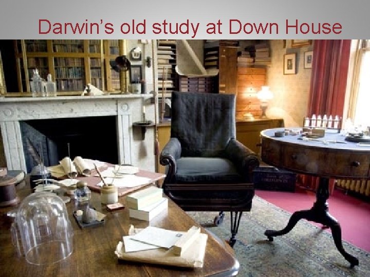 Darwin’s old study at Down House How did the great scientist work? Darwin’s old study at Down House How did the great scientist work?