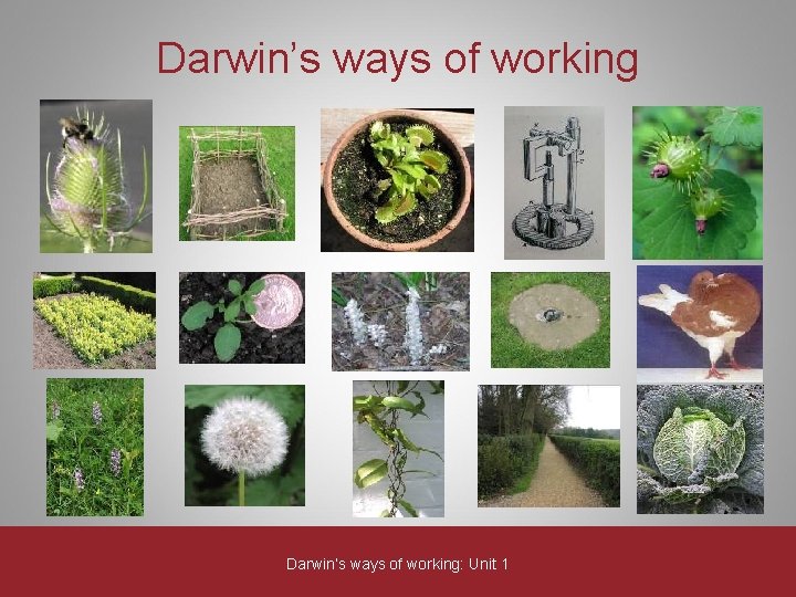 Darwin’s ways of working: Unit 1 Darwin’s ways of working: Unit 1