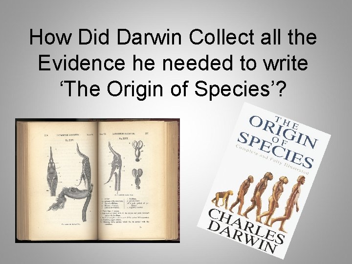 How Did Darwin Collect all the Evidence he needed to write ‘The Origin of How Did Darwin Collect all the Evidence he needed to write ‘The Origin of