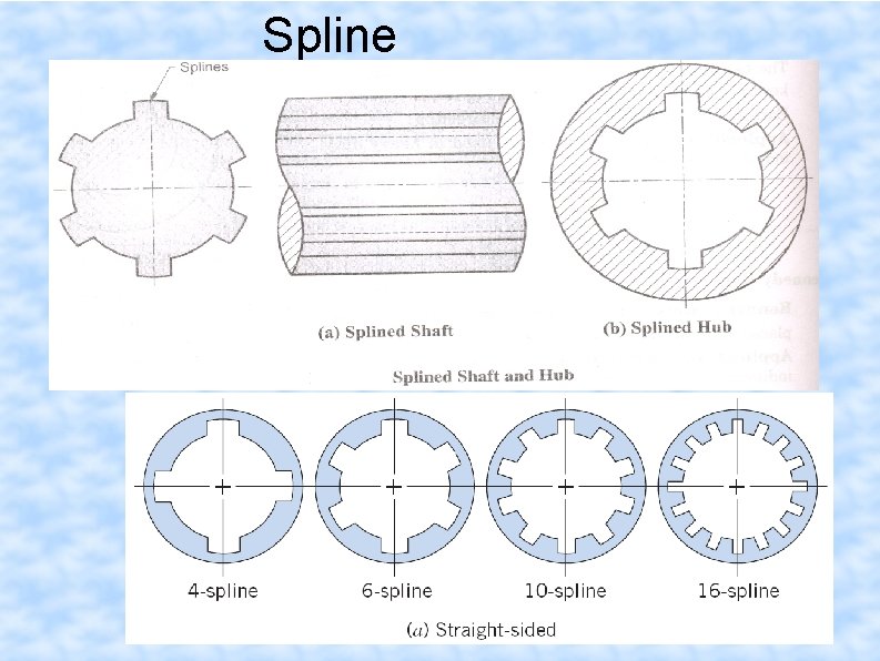Spline 