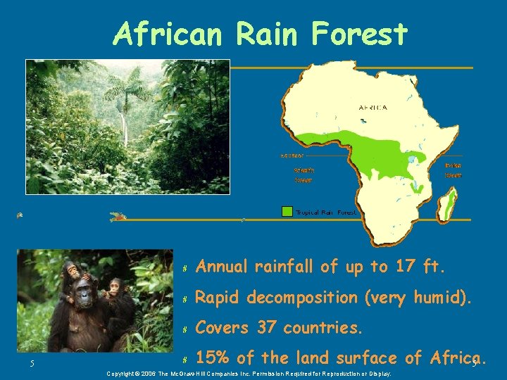 African Rain Forest # Annual rainfall of up to 17 ft. # Rapid decomposition