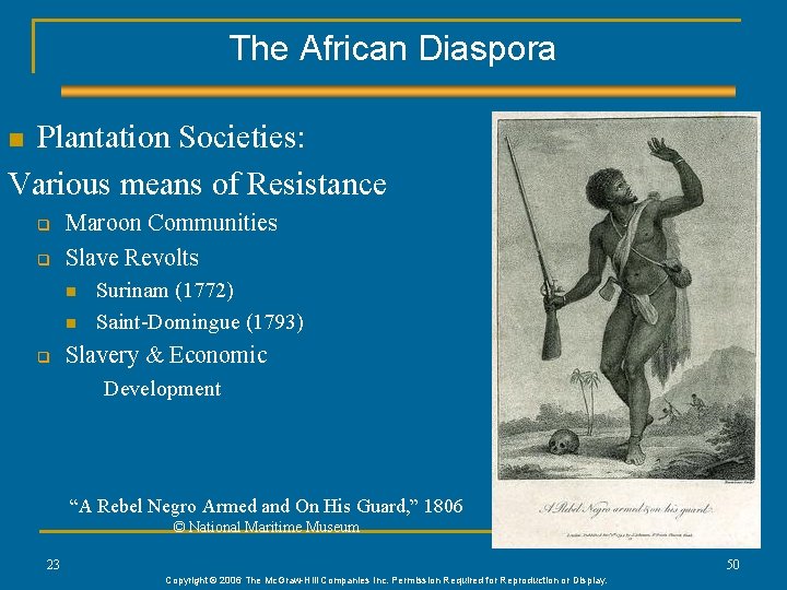 The African Diaspora Plantation Societies: Various means of Resistance n q q Maroon Communities