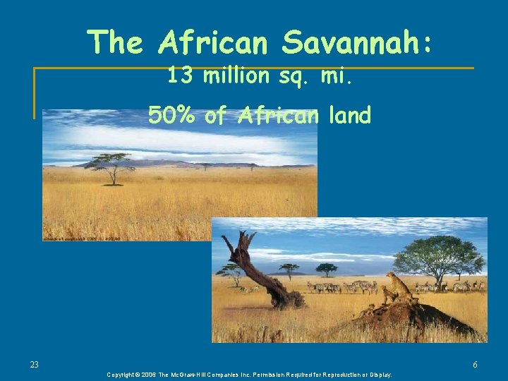 The African Savannah: 13 million sq. mi. 50% of African land 23 6 Copyright