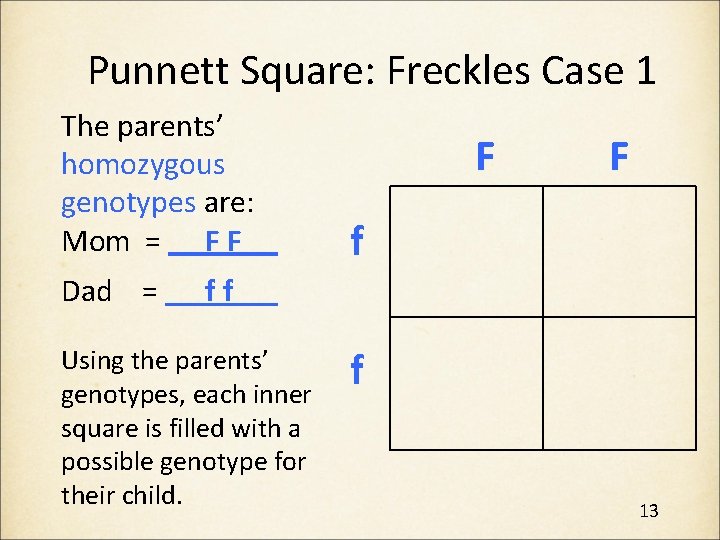 Punnett Square: Freckles Case 1 The parents’ homozygous genotypes are: Mom = F F