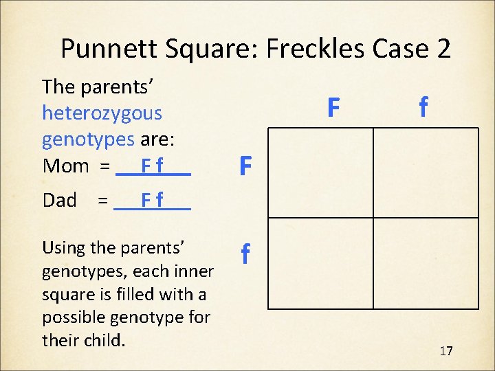 Punnett Square: Freckles Case 2 The parents’ heterozygous genotypes are: Mom = F f