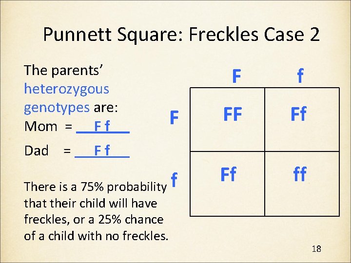 Punnett Square: Freckles Case 2 The parents’ heterozygous genotypes are: Mom = F f