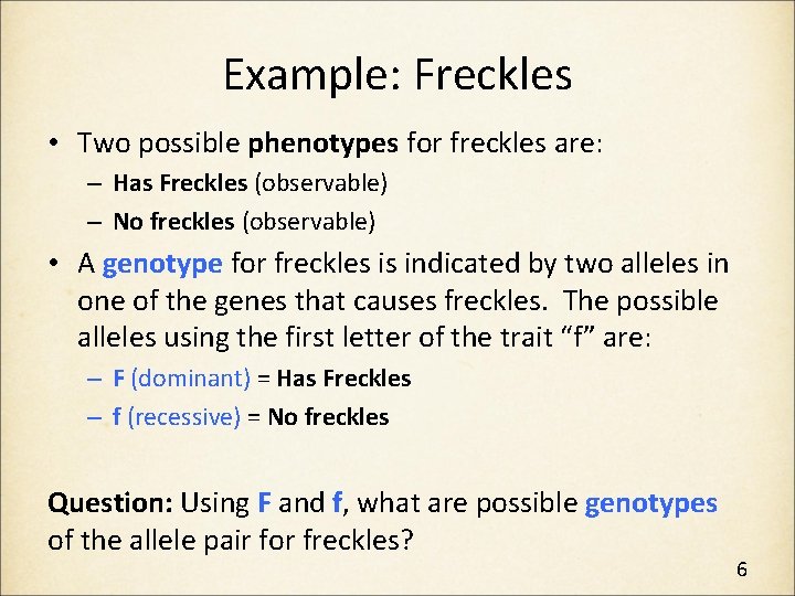 Example: Freckles • Two possible phenotypes for freckles are: – Has Freckles (observable) –