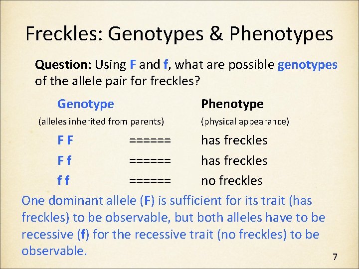 Freckles: Genotypes & Phenotypes Question: Using F and f, what are possible genotypes of