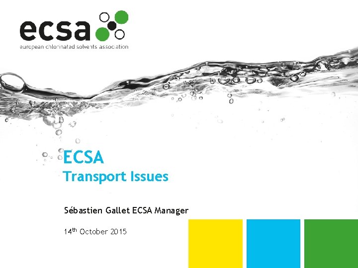 ECSA Transport Issues Sébastien Gallet ECSA Manager 14 th October 2015 