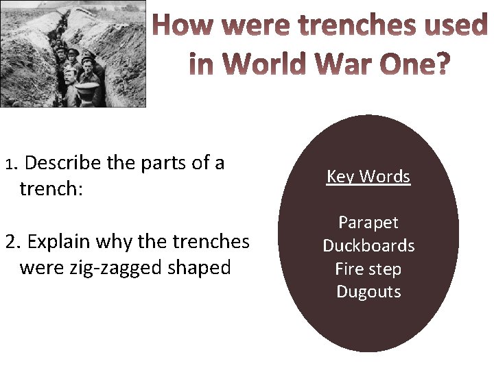 1. Describe the parts of a trench: Key Words 2. Explain why the trenches