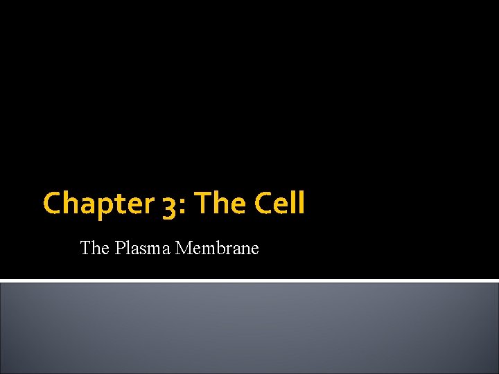 Chapter 3: The Cell The Plasma Membrane 