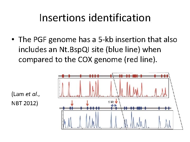 Insertions identification • The PGF genome has a 5 -kb insertion that also includes