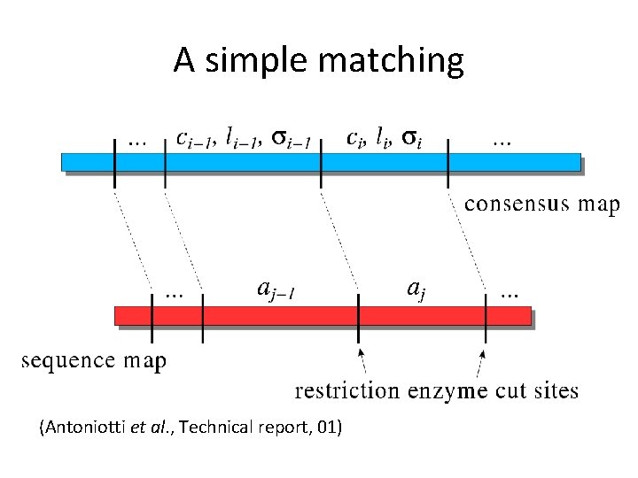 A simple matching (Antoniotti et al. , Technical report, 01) 