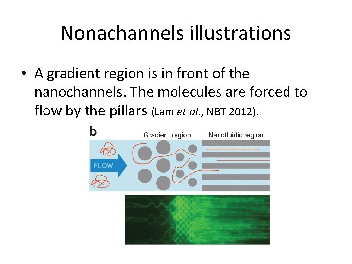 Nonachannels illustrations • A gradient region is in front of the nanochannels. The molecules