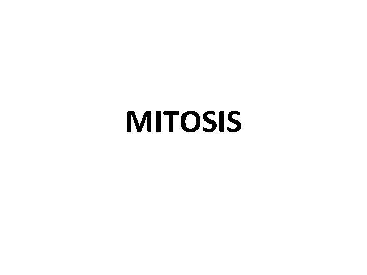 MITOSIS 