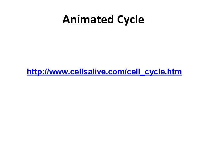 Animated Cycle http: //www. cellsalive. com/cell_cycle. htm 