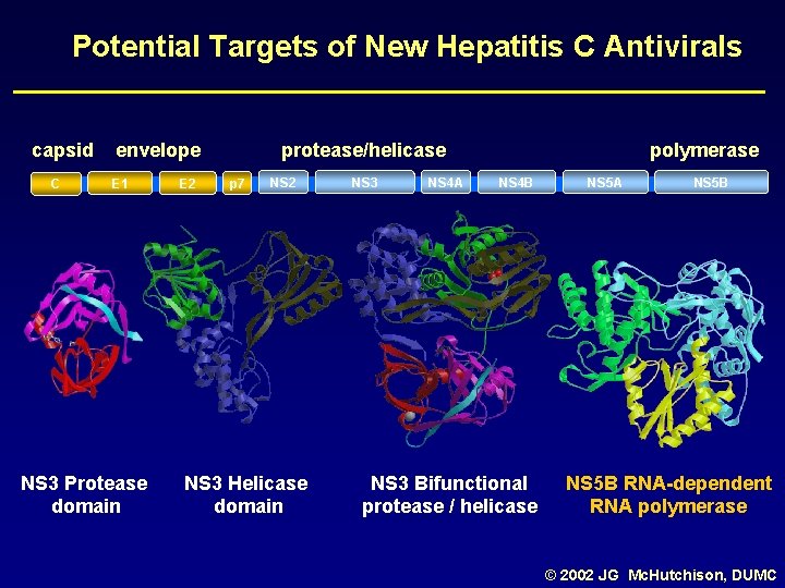 Potential Targets of New Hepatitis C Antivirals capsid C envelope E 1 NS 3