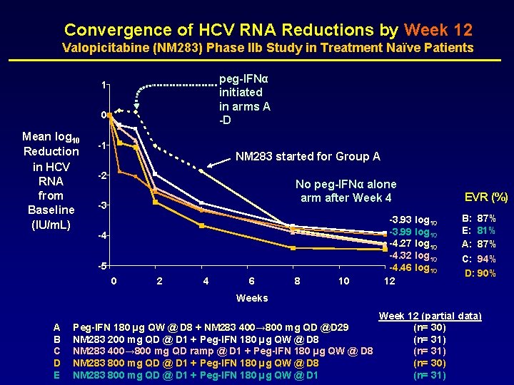 Convergence of HCV RNA Reductions by Week 12 Valopicitabine (NM 283) Phase IIb Study