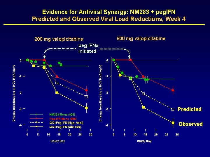 Evidence for Antiviral Synergy: NM 283 + peg. IFN Predicted and Observed Viral Load